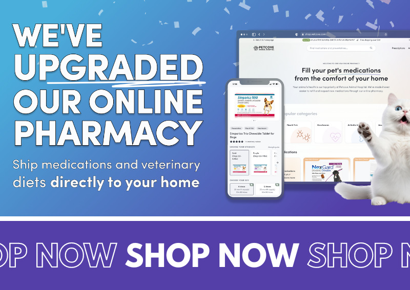 Carousel Slide 2: Visit Our Online Pharmacy